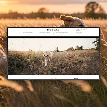 Shopify-E-Commerce-Lösung für Produkte und Services rund um den Hund